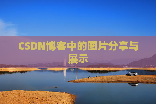 CSDN博客中的图片分享与展示